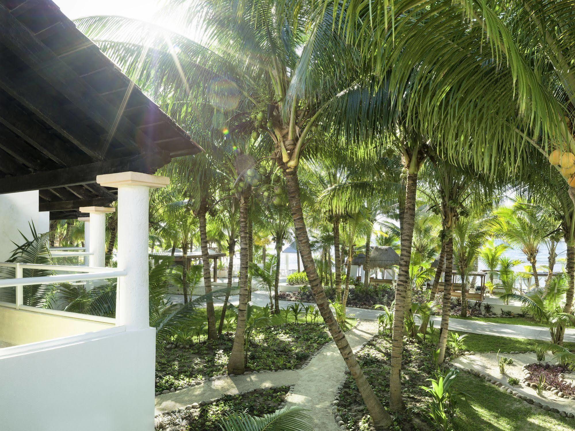 El Dorado Seaside Palms Adults Only Hotel Xetna Eksteriør billede